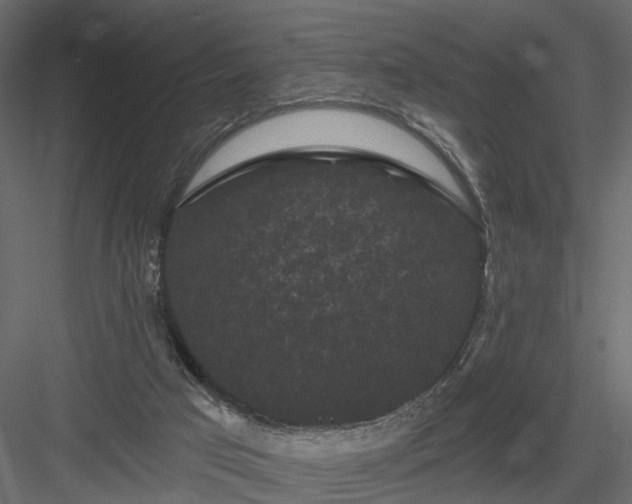 X0000084050017200702240004