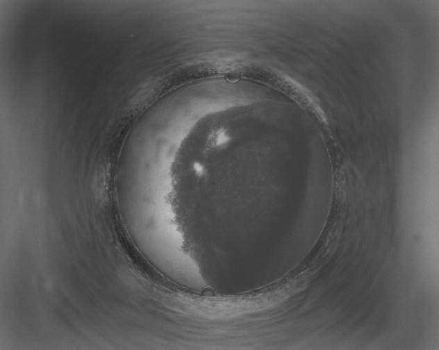 X0000084050018200702240004