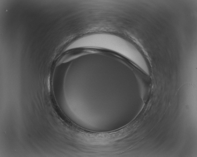 X0000084050019200702240004