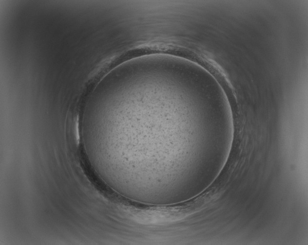 X0000084050020200702240004