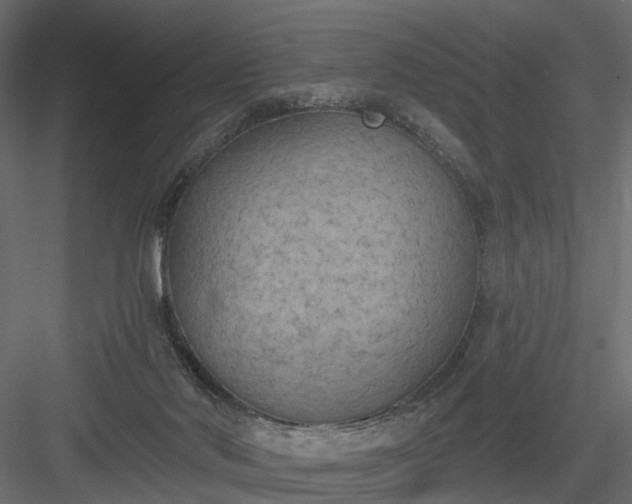 X0000084050022200702240003