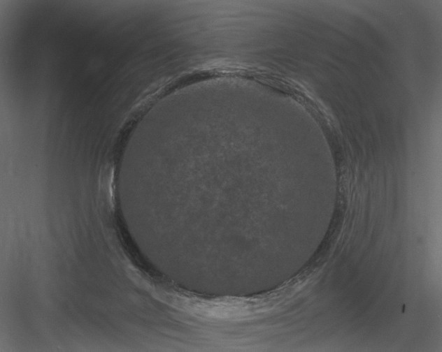 X0000084050024200702240003