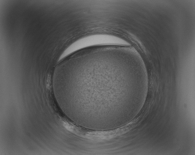 X0000084050025200702240003