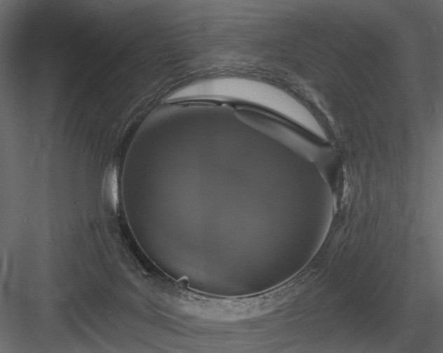 X0000084050027200702240003