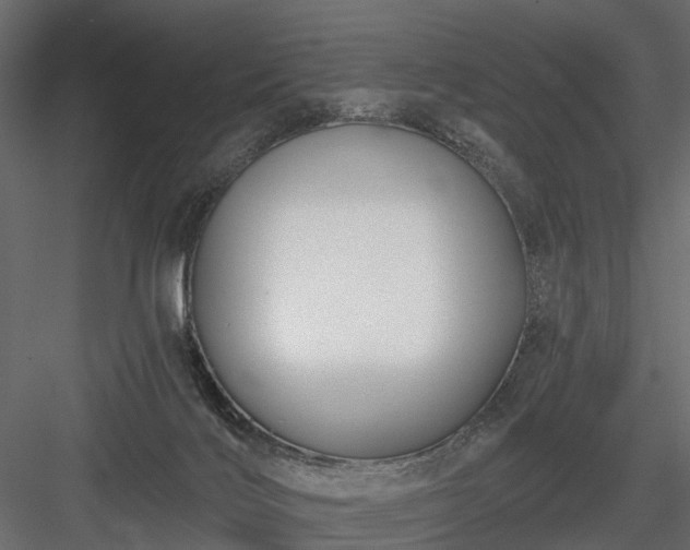 X0000084050028200702240003