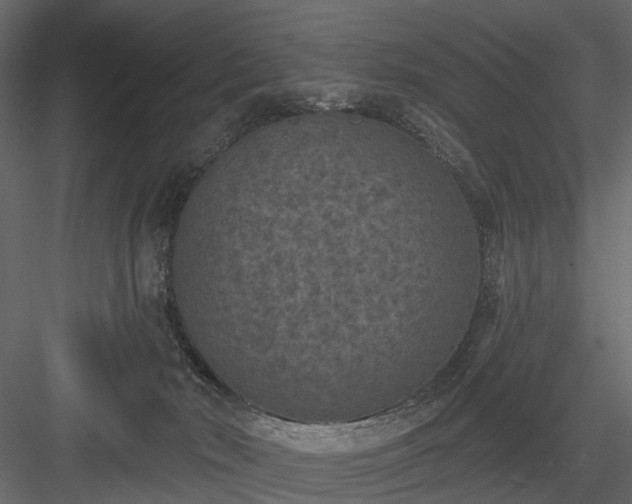 X0000084050030200702240003