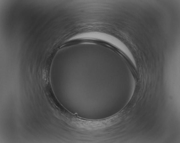 X0000084050031200702240003