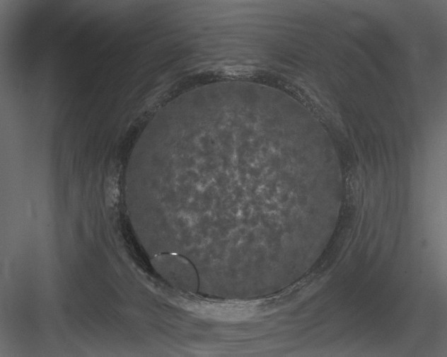 X0000084050032200702240003