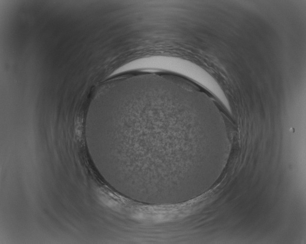 X0000084050033200702240003