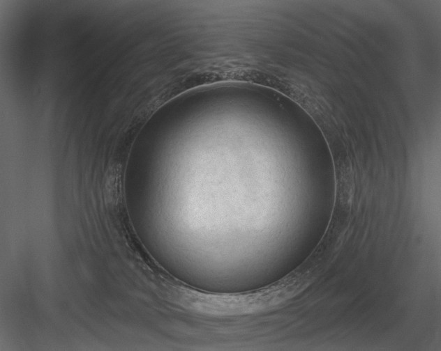 X0000084050034200702240003