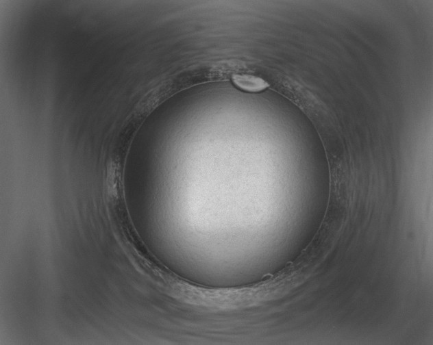 X0000084050038200702240003