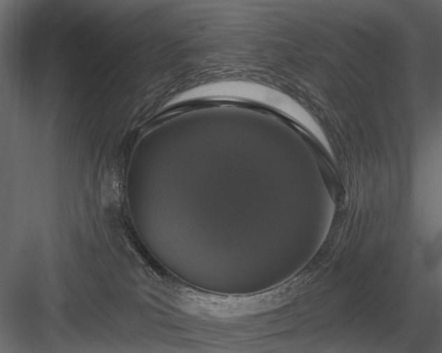 X0000084050039200702240003