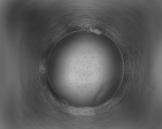 X0000084050040200702240003