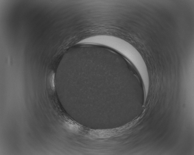 X0000084050041200702240003