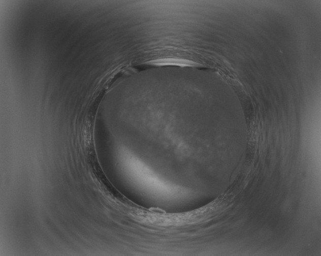 X0000084050043200702240003