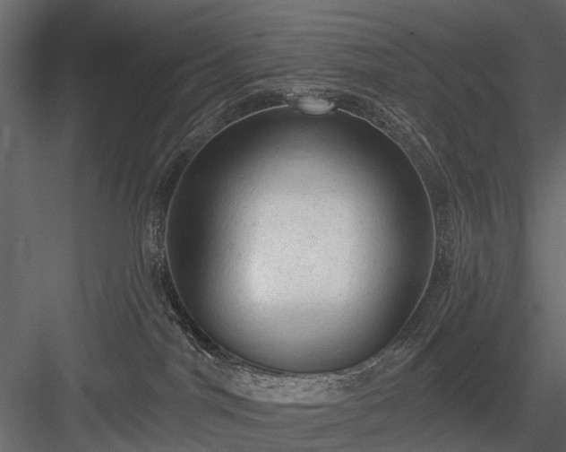 X0000084050044200702240003