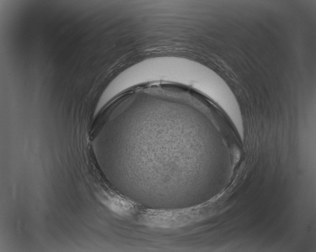 X0000084050045200702240003