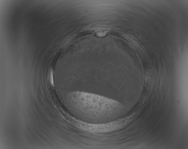 X0000084050046200702240003