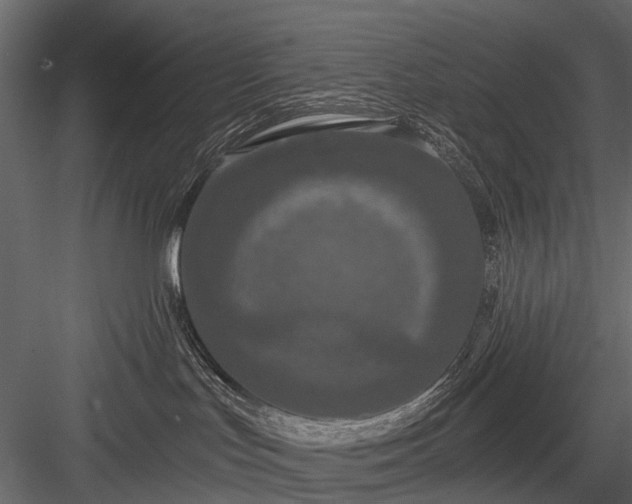 X0000084050047200702240003