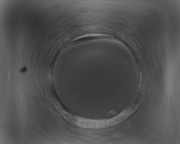 X0000084050048200702240003