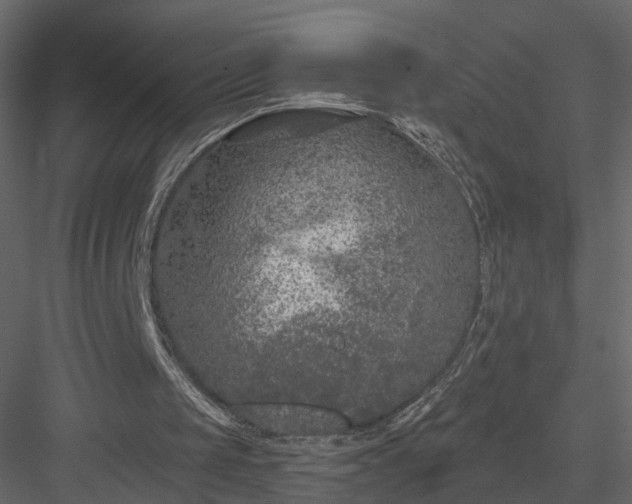 X0000084050049200702240002