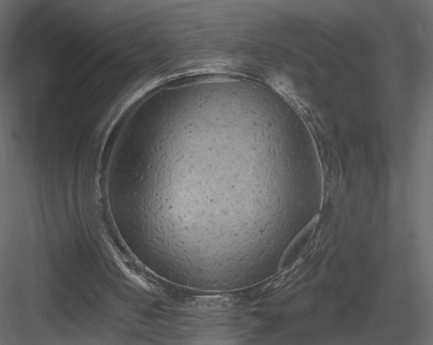 X0000084050050200702240002