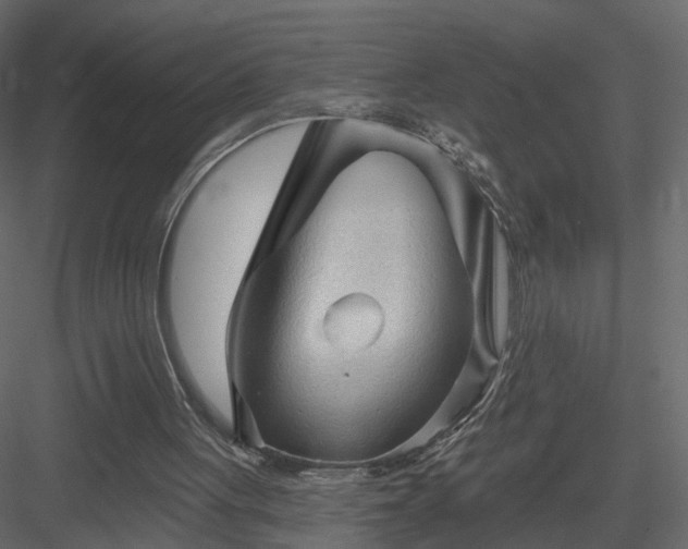 X0000084050051200702240002