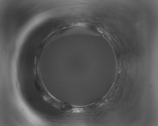 X0000084050052200702240002