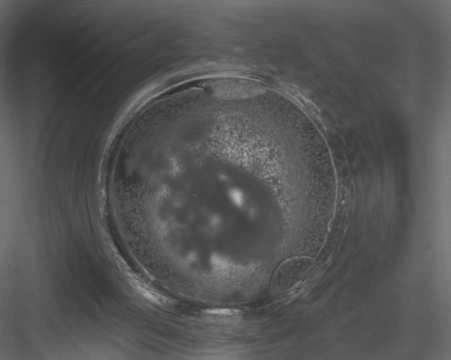 X0000084050053200702240002