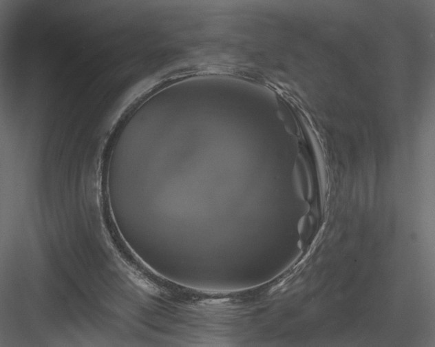 X0000084050054200702240002