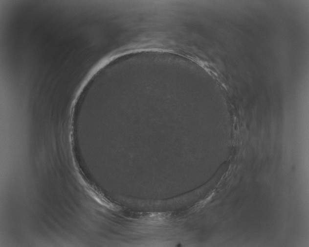 X0000084050056200702240002