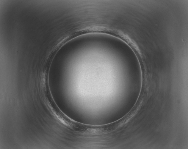 X0000084050057200702240002