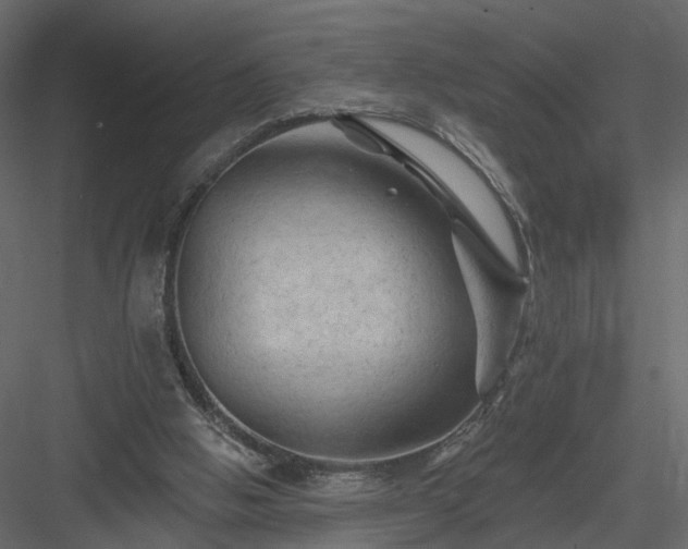 X0000084050058200702240002