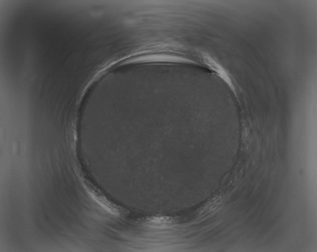 X0000084050059200702240002