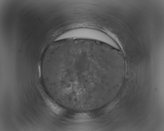 X0000084050061200702240002