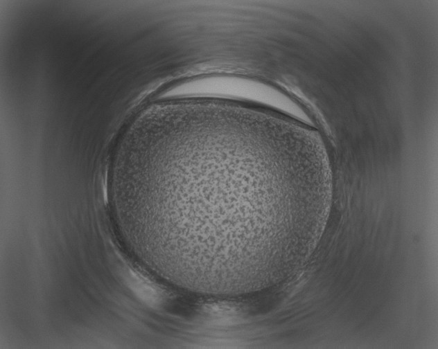 X0000084050062200702240002