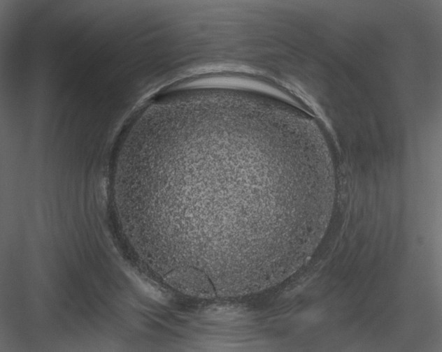 X0000084050063200702240002