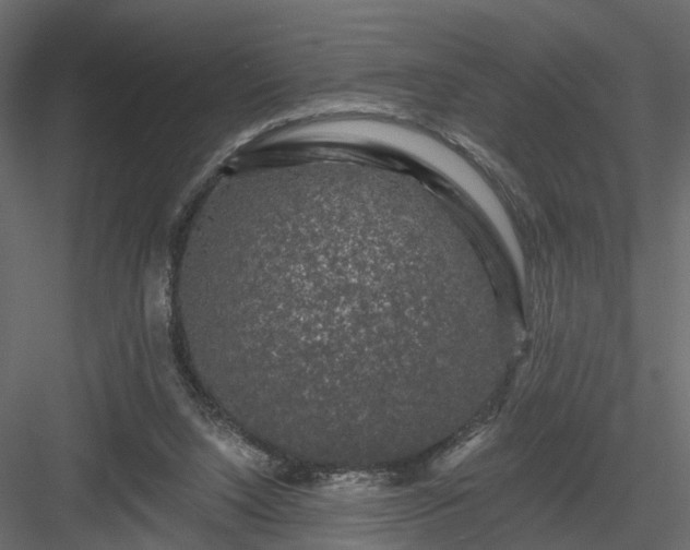 X0000084050064200702240002