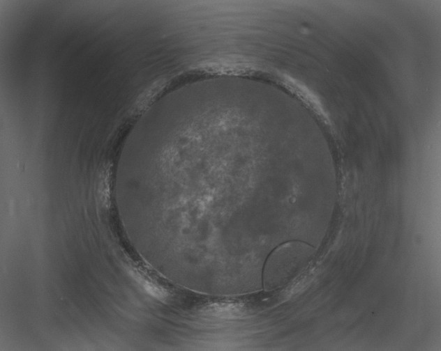 X0000084050065200702240002