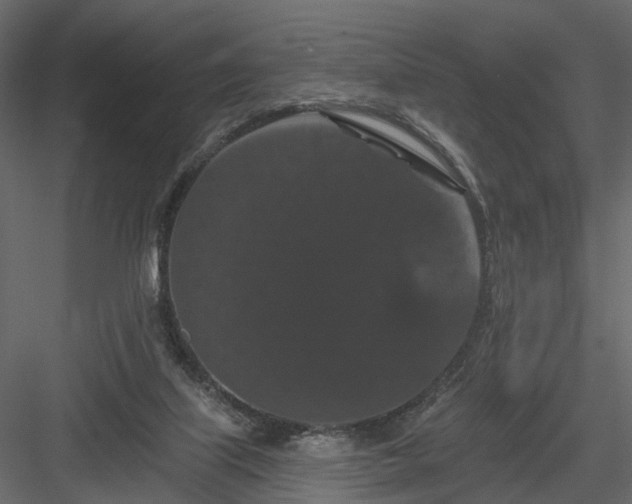 X0000084050067200702240003