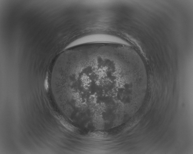 X0000084050069200702240003