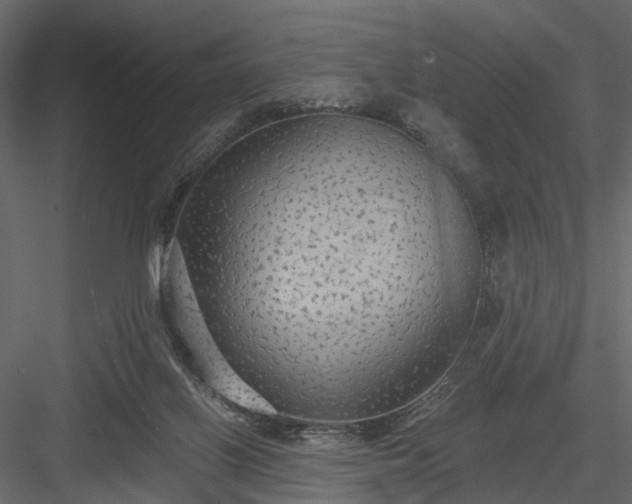 X0000084050070200702240003