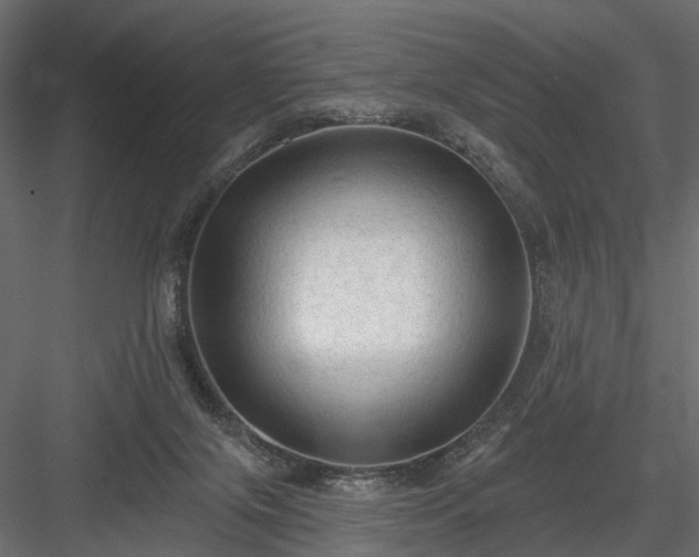 X0000084050071200702240003