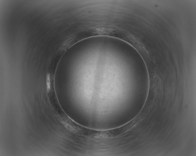 X0000084050075200702240003