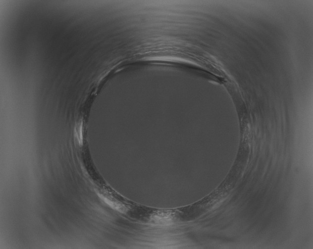 X0000084050076200702240003