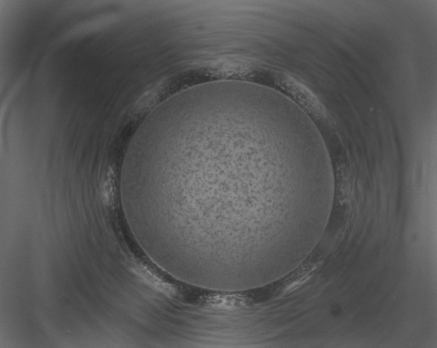 X0000084050077200702240003