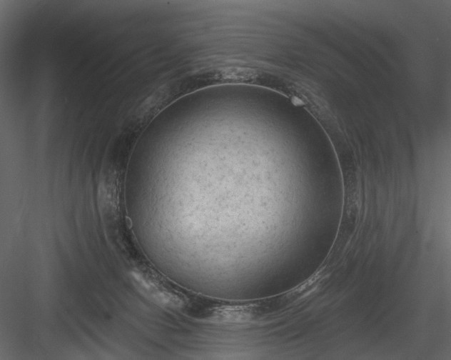 X0000084050078200702240003