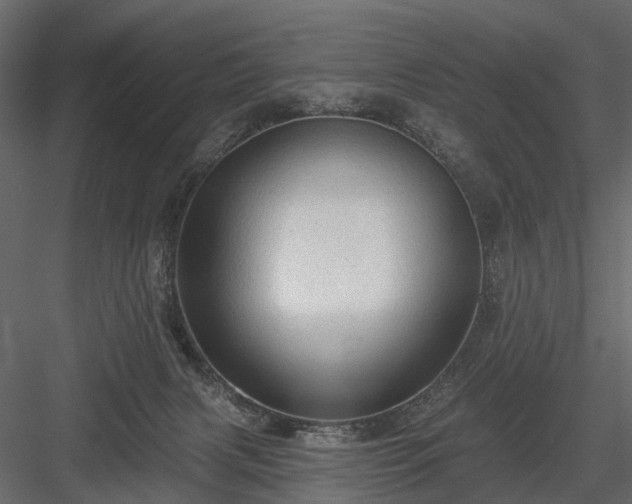 X0000084050079200702240003