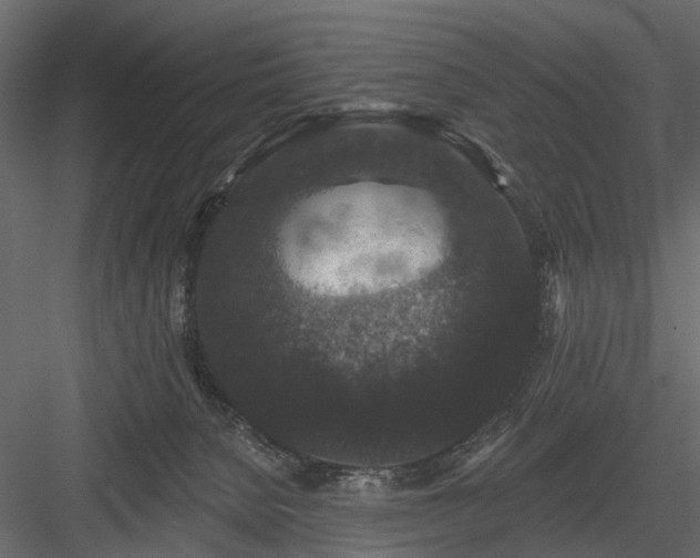 X0000084050080200702240003