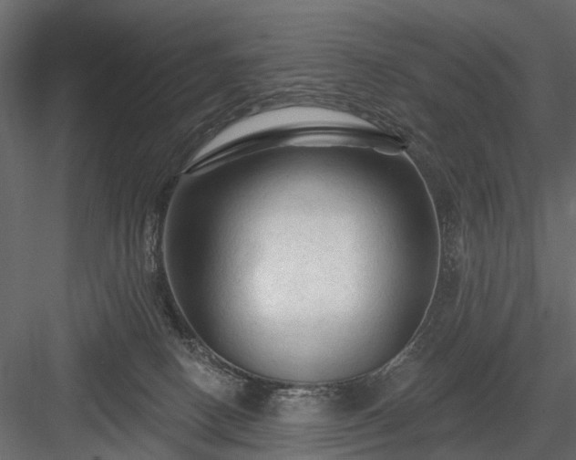 X0000084050082200702240003